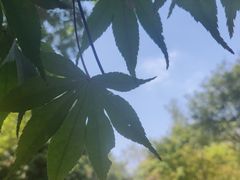-桃花岛景观公园
