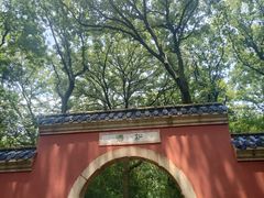 -灵谷景区