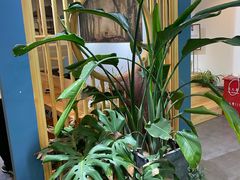 -红小满休闲餐厅(十全街店)