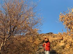 -白草畔自然风景区