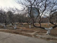 -康庄公园