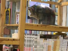 -小时光咖啡馆(开森度假森林店)