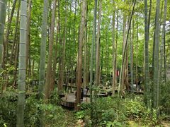 -东明山森林公园