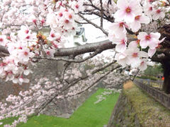 iphone_upload_pic-名古屋城