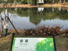 -金银湖国家城市湿地公园