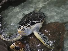-杭州海底世界