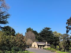 -墨尔本皇家植物园