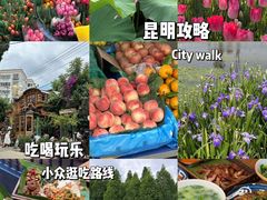 -翠湖公园