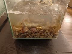 -步步高福朋喜来登·宜客乐西餐厅