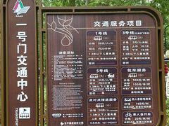 -东平国家森林公园