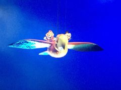 -广东省拱北口岸中国旅行社(华宾营业部)