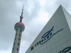 -上海海洋水族馆