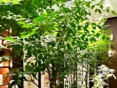 -王府茶楼茶宴·创意菜(朝阳公园店)