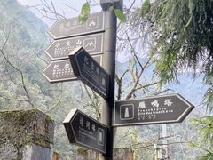 -娄山关景区