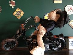 android_upload_pic-济州岛泰迪熊博物馆