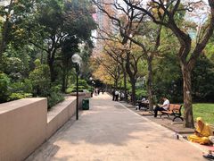 -九龙公园