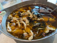 -鑫巴蜀小镇 · 水煮鱼专研店(玉桥店)