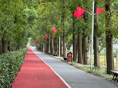 -上海长兴岛郊野公园