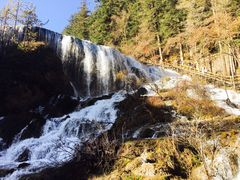 -黄龙山原始森林景区