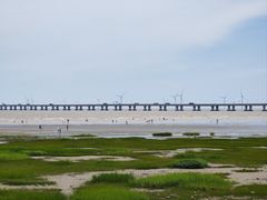 -南汇新城海滩