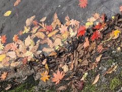 -丹东天桥沟景区