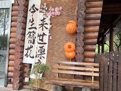 -合肥滨湖国家森林公园