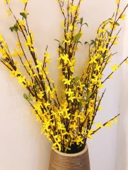 -纤指百魅美甲美睫