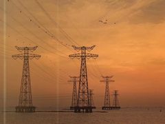 -宝安西湾红树林湿地公园