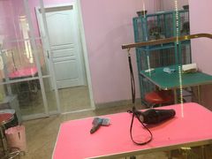 -小呆的宠物店·宠物售卖·宠物寄养(城西店)