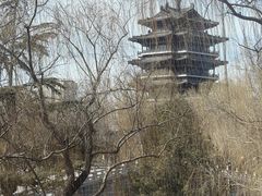 -鹊华居·地道鲁菜·海鲜·融合味(大明湖店)