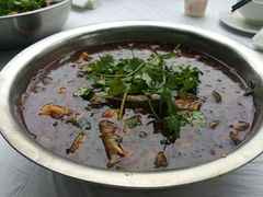 -胖大姐黄辣丁鱼庄(新津店)