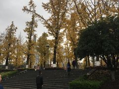 -百林公园-两江幸福广场