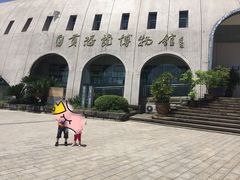 -自贡恐龙博物馆