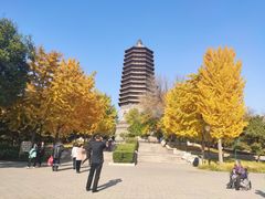 -玲珑塔公园