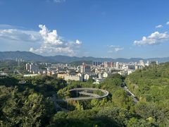 -福道