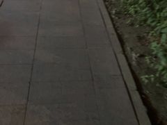 -巴格万美食园(达胜花苑店)