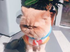 -小时光咖啡馆(开森度假森林店)