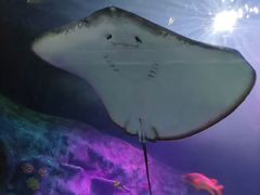 -沈阳海洋探索中心