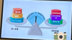 -Fundi张玉珊修身堂·indiba·BTL科技瘦身