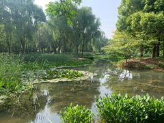 -洛阳市隋唐城遗址植物园
