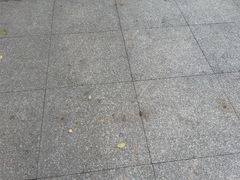 -索拉古贝(义乌北苑店)