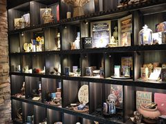 -雪灵魔法世界SHELLY’S TAROT(大良桂畔里店)