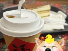 -是阿柴呀！柴犬咖啡·爱喵喵猫咖