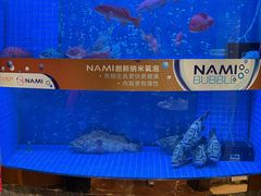 -镛记酒家