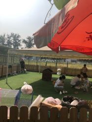 -萌宠亲子动物乐园(槐房万达店)