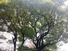 -兰溪青年公园