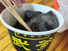 -武爹臭豆腐(坡子街店)