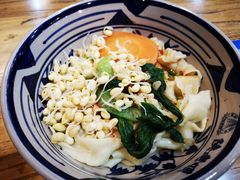 油泼面-陕老顺肉夹馍油泼面(湖东店)