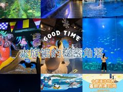 -合肥海洋世界