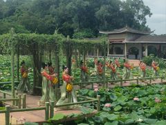-广州莲花山旅游区
